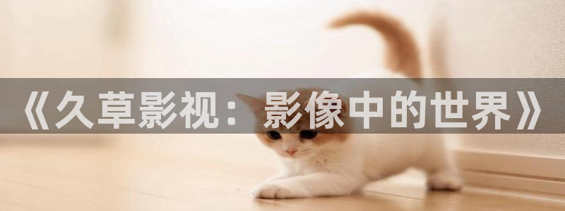 韩国影视电影：《久草影视：影像中的世界》