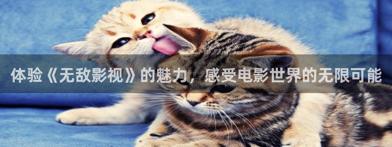 韩国影视：体验《无敌影视》的魅力，感受电影世界的无限可能