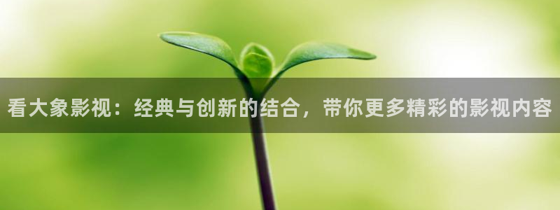 韩国影视免费在线观看：看大象影视：经典与创新的结合，带你更多精彩的影视内容