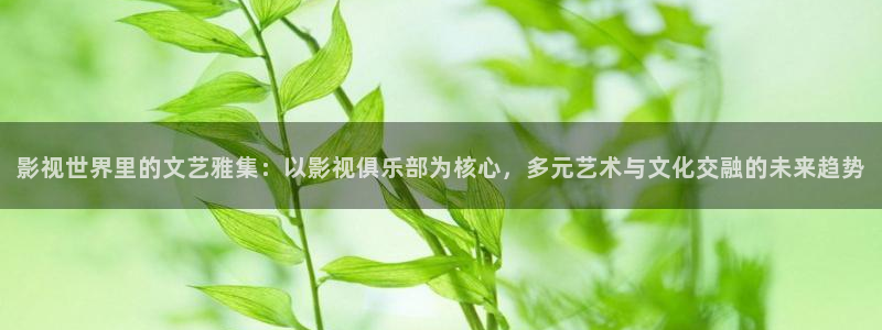 韩国影视剧：影视世界里的文艺雅集：以影视俱乐部为核心，多元艺术与文化交融的未来趋势