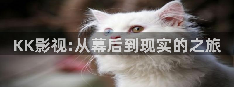 穿梭在韩国影视世界的小说：KK影视:从幕后到现实的之旅