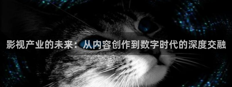 韩国影视推荐：影视产业的未来：从内容创作到数字时代的深度交融
