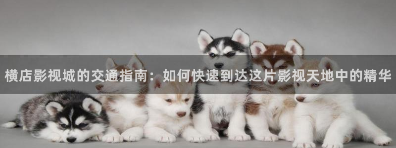 韩国影视电影：横店影视城的交通指南：如何快速到达这片影视天地中的精华
