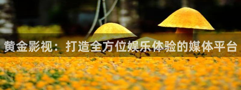 韩国影视：黄金影视：打造全方位娱乐体验的媒体平台