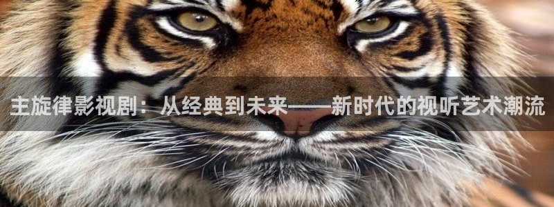 穿梭在韩国影视世界的小说