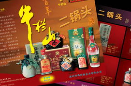 品牌与包装设计 南京广告设计公司的专业价值