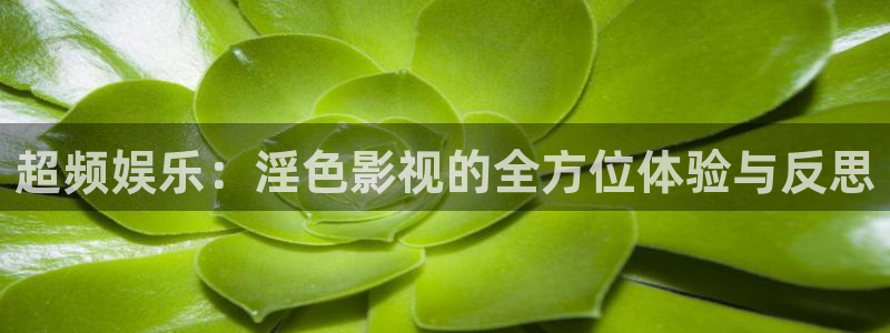 必胜韩国影视