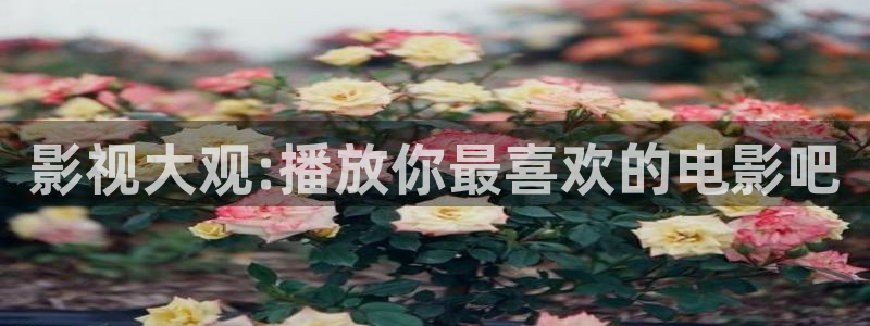韩国影视推荐