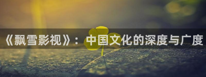 韩国影视