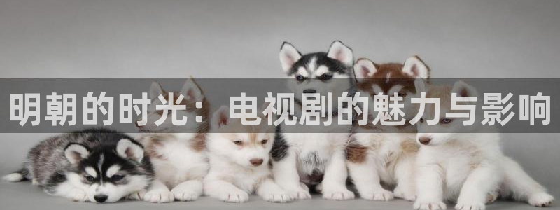 韩国影视电影